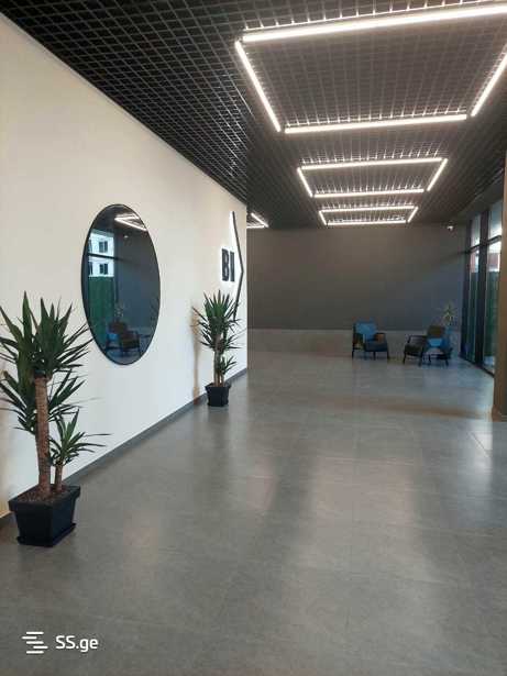 https://static.ss.ge/20260306/2_f2cca706-2187-4809-af6e-bf8520639750_Thumb.jpg