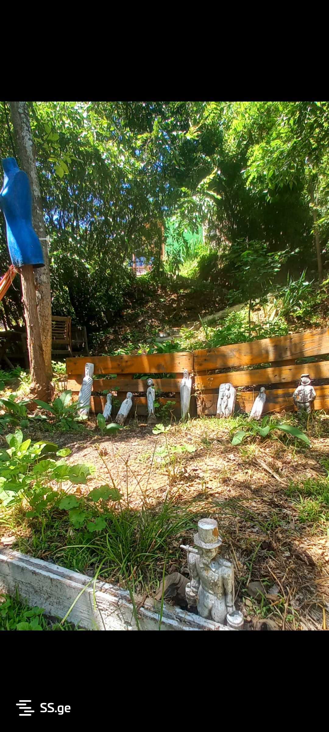 6 Room Hotel For Sale view 10