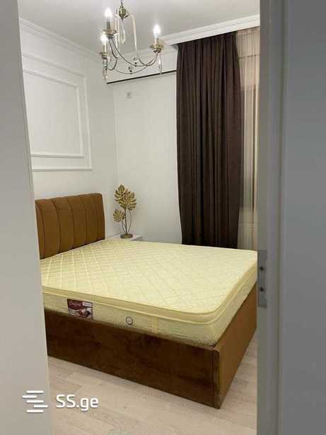 https://static.ss.ge/20260306/6_6e7bd427-2043-4188-8ce9-fcc60fe98c8b_Thumb.jpg