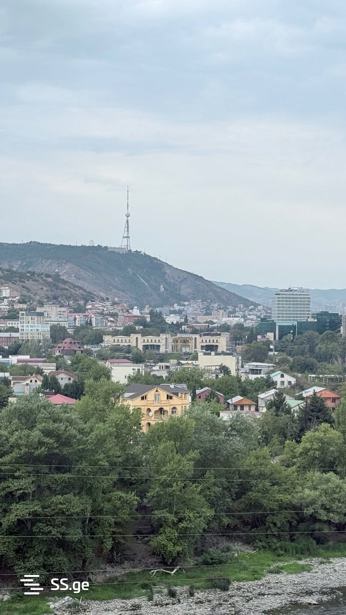 https://static.ss.ge/20260306/8_22fe2ff7-d979-45c6-86d5-b74463e09ba5_Thumb.jpg