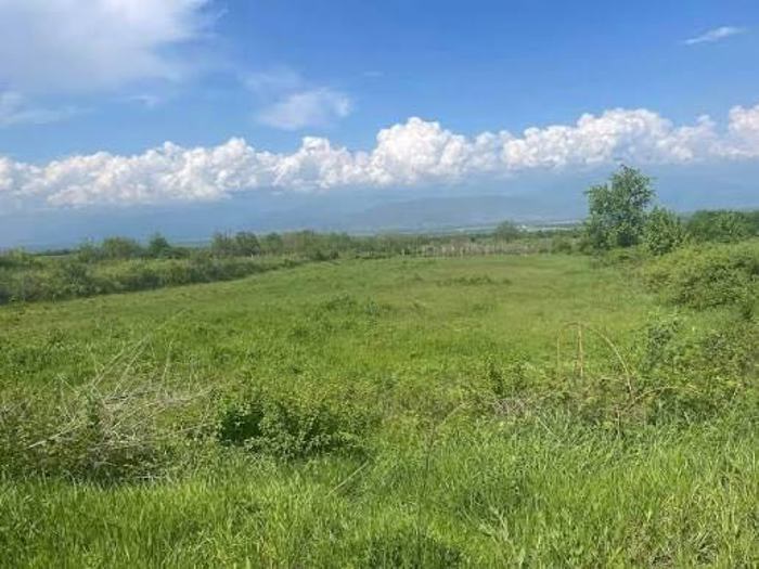 Land For Sale. Asureti