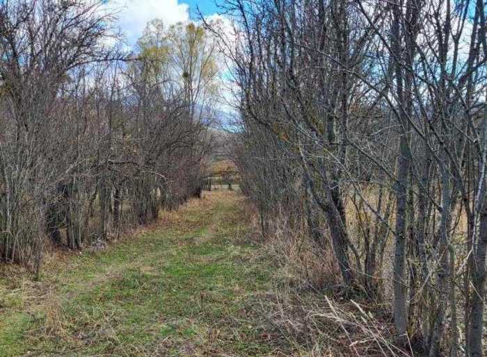 Land For Sale. Tianeti