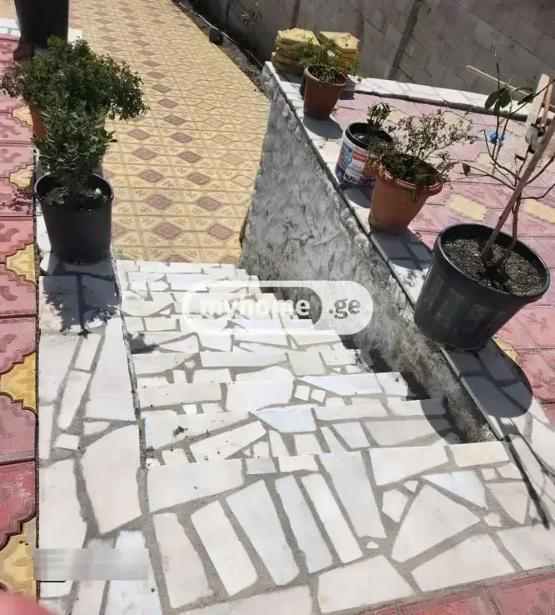 https://static.ss.ge/20260307/10_9e4c209e-41d1-433e-9a68-bc129bc7683c_Thumb.jpg
