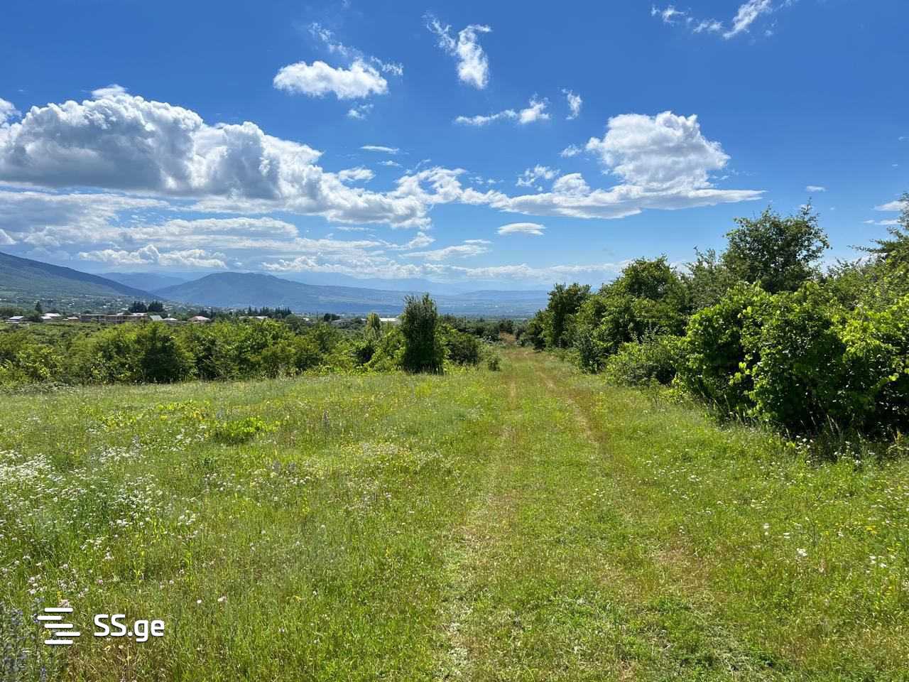Land For Sale. Tsinamdzghvriantkari - Widok 4