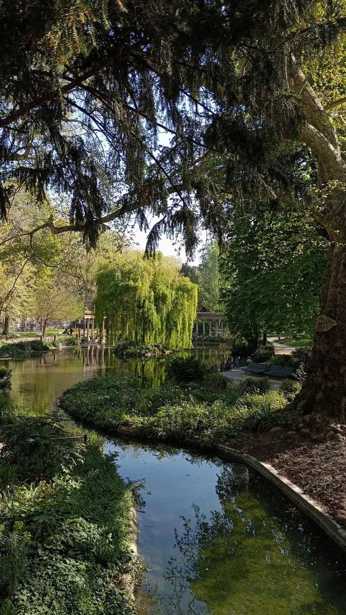 Land For Sale. Shekvetili