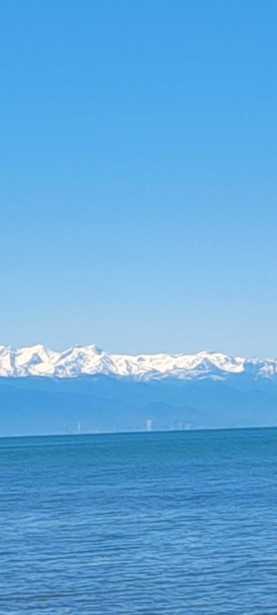 Land For Sale. Shekvetili