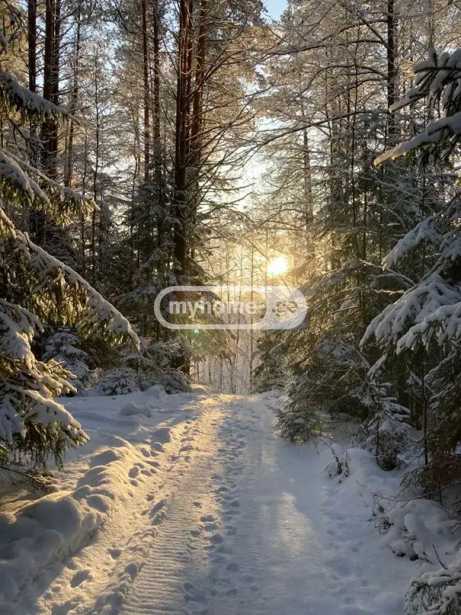 Land For Sale. Bakurianis Andeziti