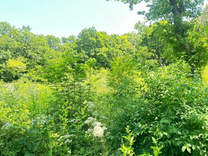 Land For Sale. Tserovani