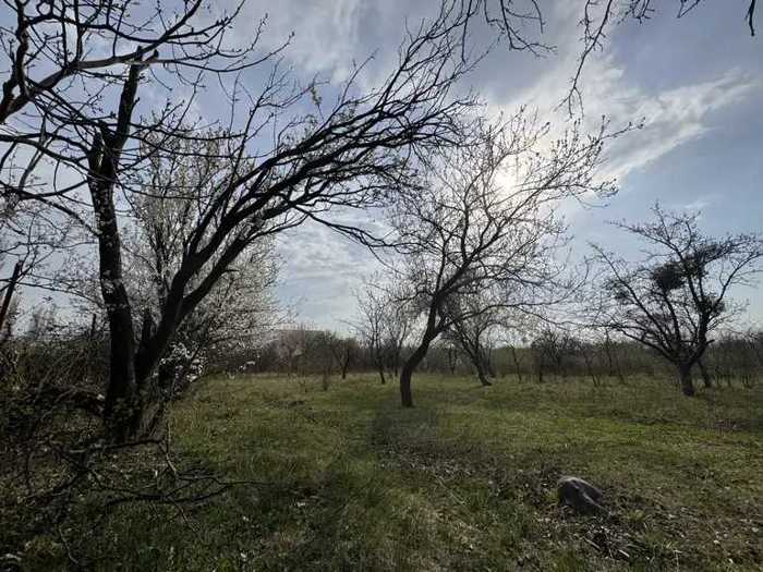 Land For Sale. Mukhrani