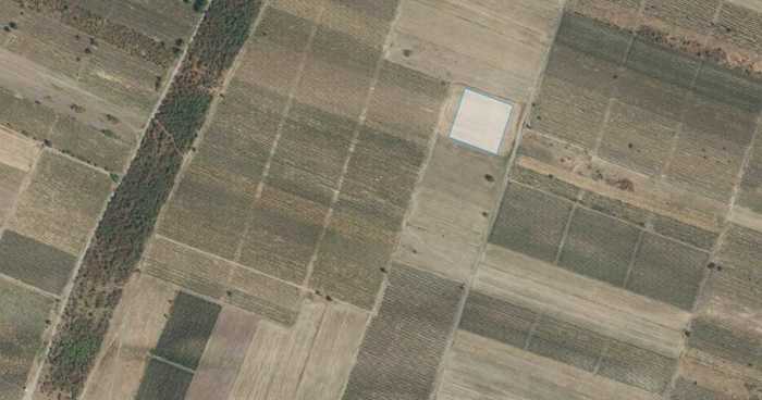 Land For Sale. Gurjaani