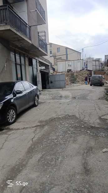 https://static.ss.ge/20260307/3_3b5bcd30-44ed-4c79-9d74-9a680850005e_Thumb.jpg