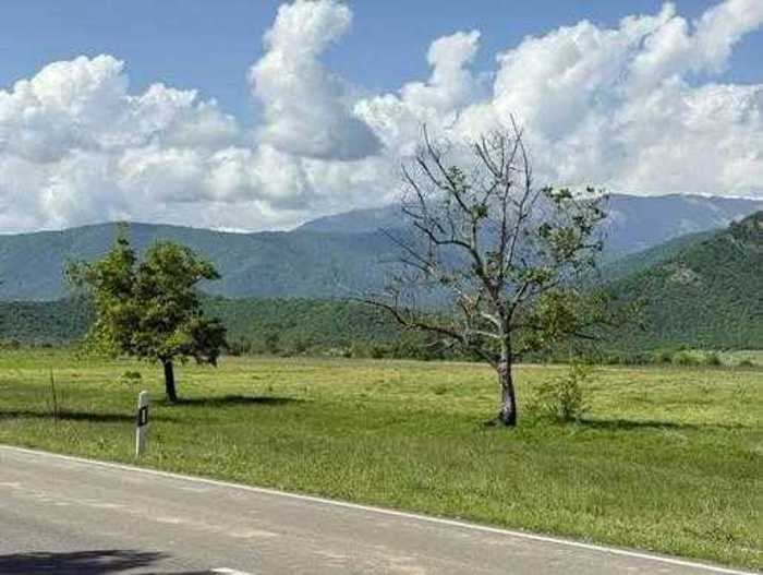 Land For Sale. Asureti