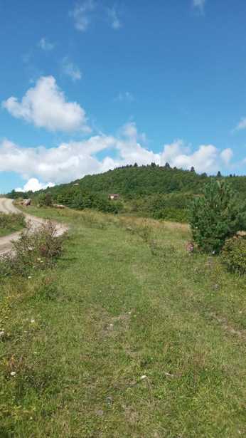 Land For Sale. Shaori