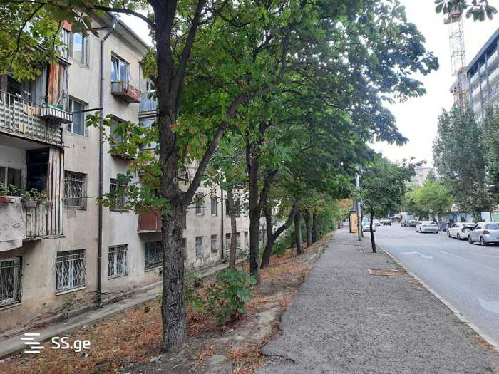 https://static.ss.ge/20260307/7_bf26c926-5db2-4b99-abdc-5bd61374e964_Thumb.jpg