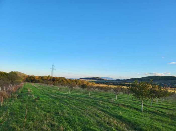 Land For Sale. Tetritskaro