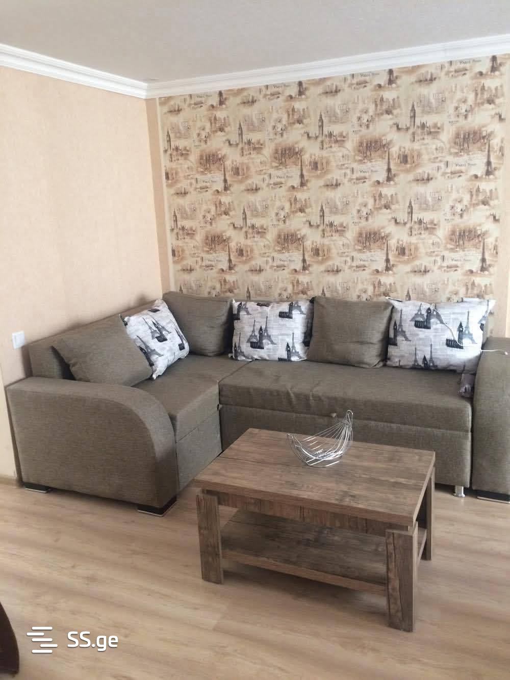 Private House For Rent. Zugdidi view 3