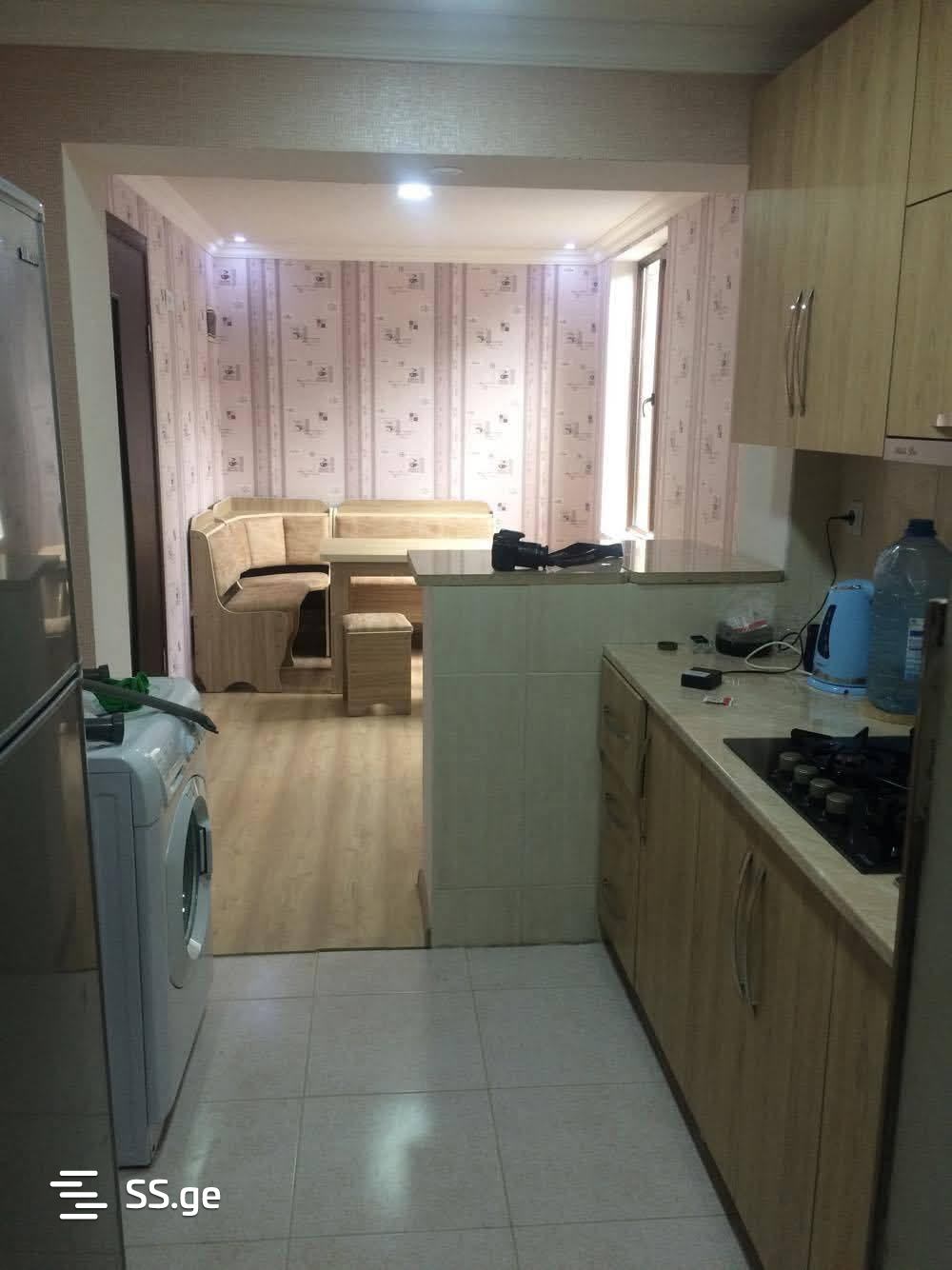 Private House For Rent. Zugdidi view 4