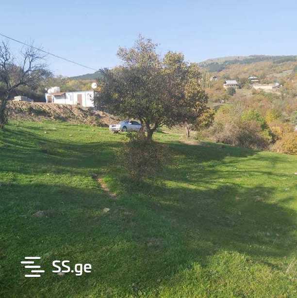 Land For Sale. Nakhshirgora