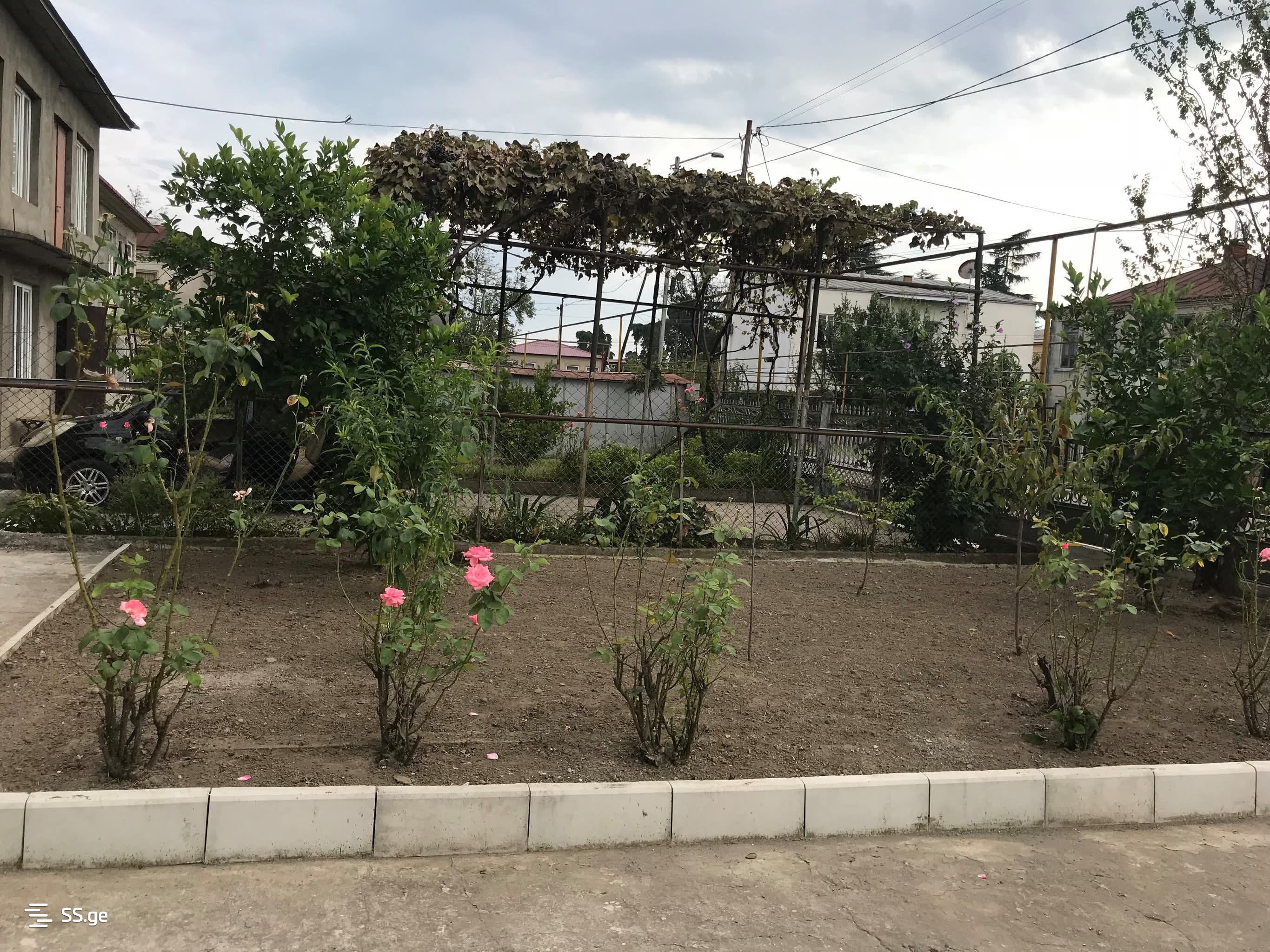 Private House For Rent. Zugdidi view 13