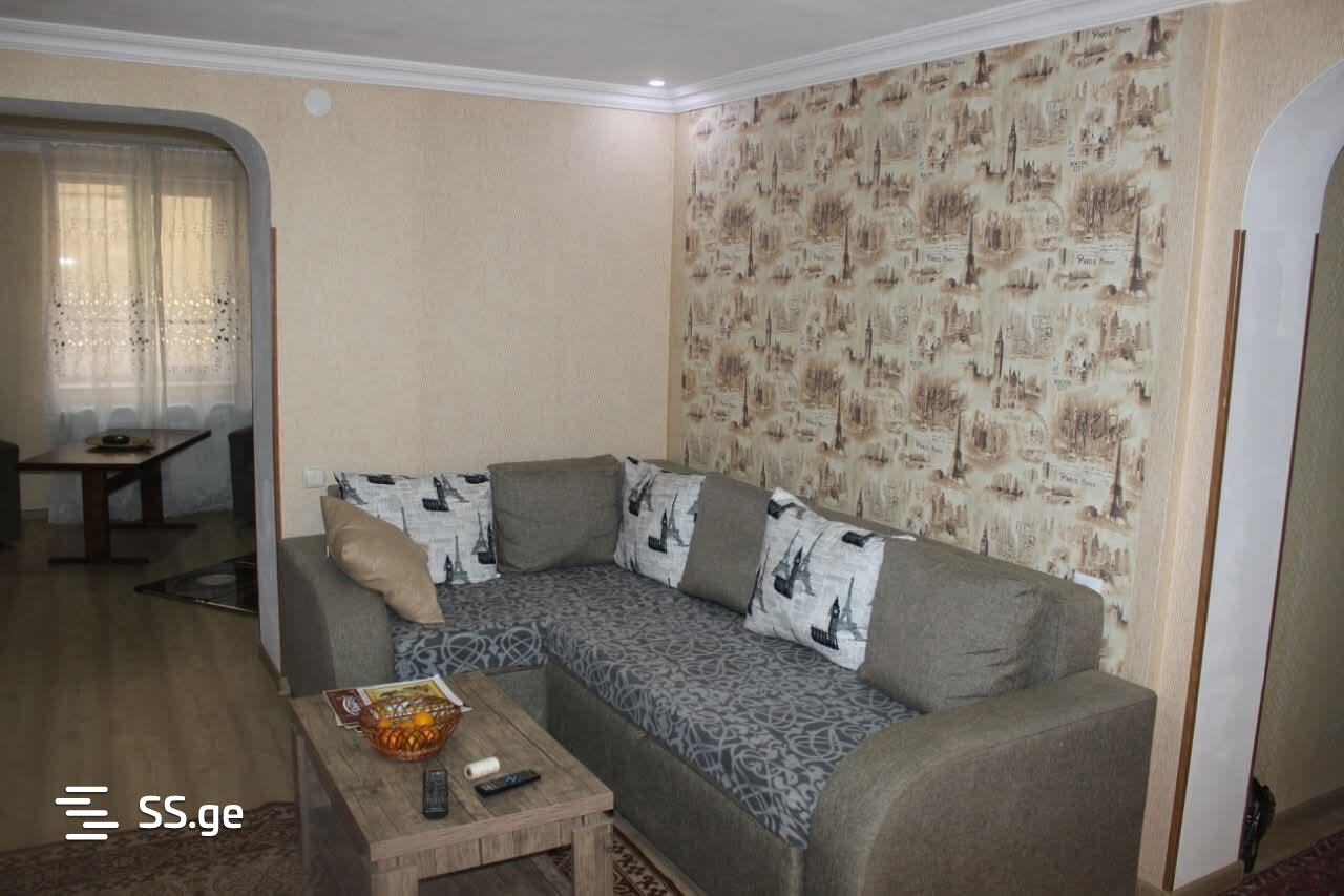 Private House For Rent. Zugdidi view 2