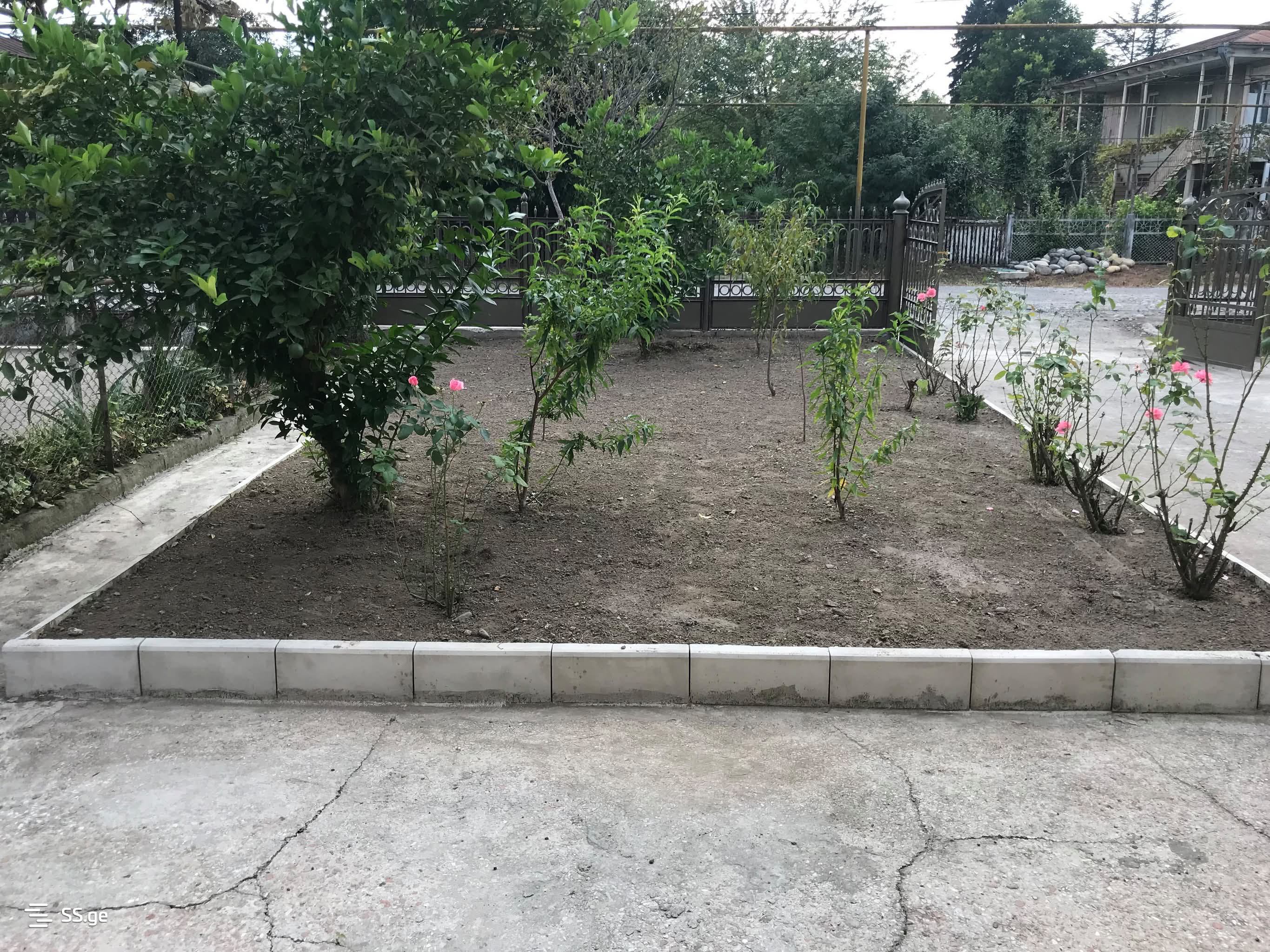 Private House For Rent. Zugdidi view 15