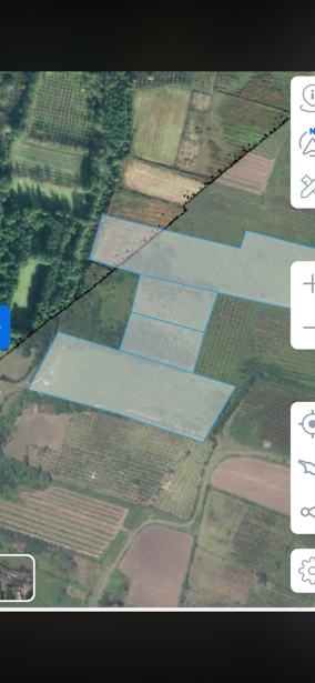 Land For Sale. Zugdidi