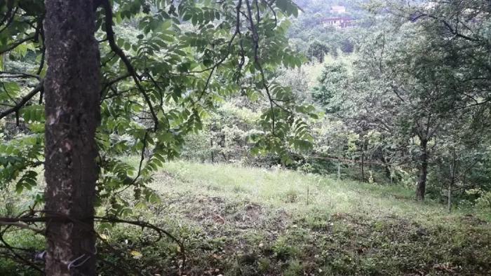 Land For Sale. Buknari