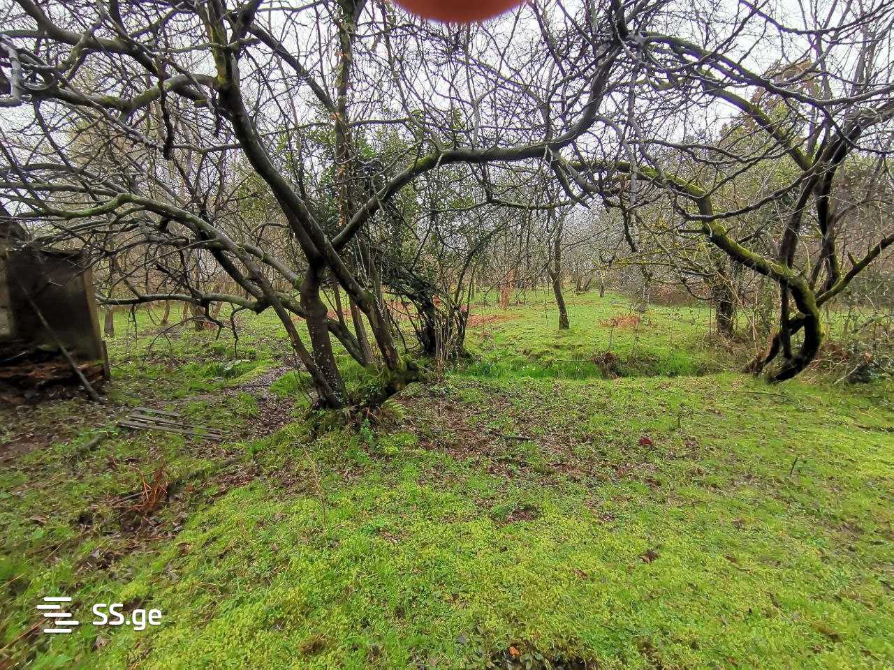 Land For Sale. Kobuleti, 1 of 4