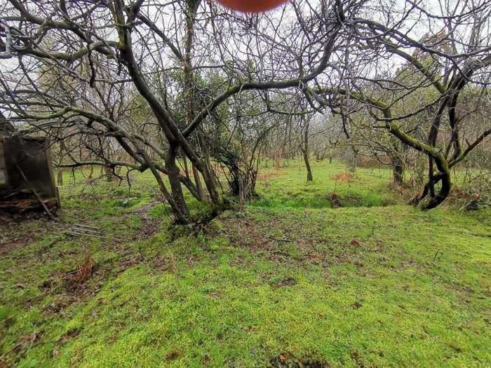 Land For Sale. Kobuleti