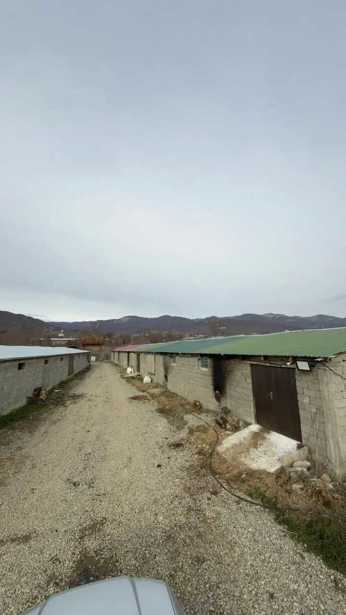 Land For Sale. Sagarejo