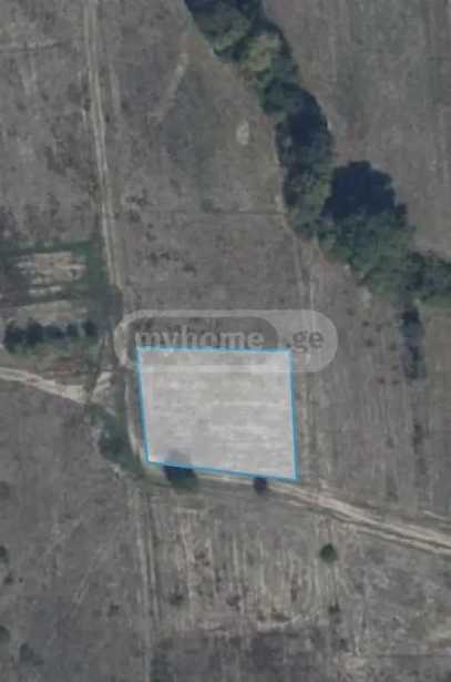 Land For Sale. Mukhrani