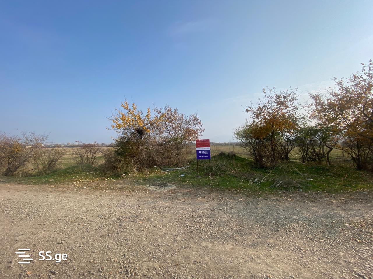 Land For Rent. Mtskheta view 2