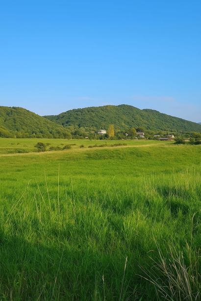 Land For Sale. Ujarma