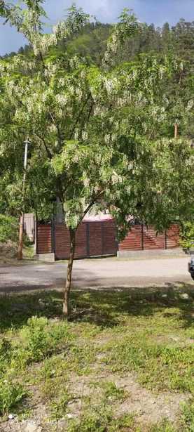 2 room Private House For Sale. Borjomi
