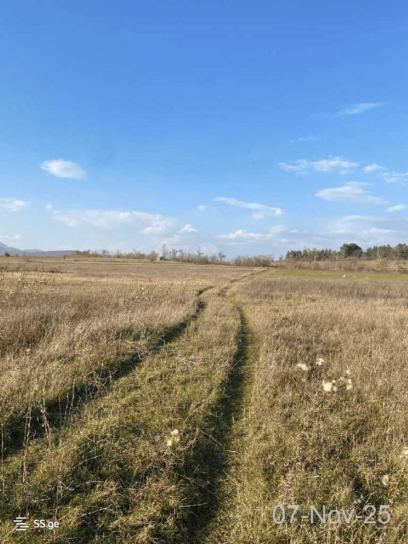 Land For Sale. Bazaleti view 4