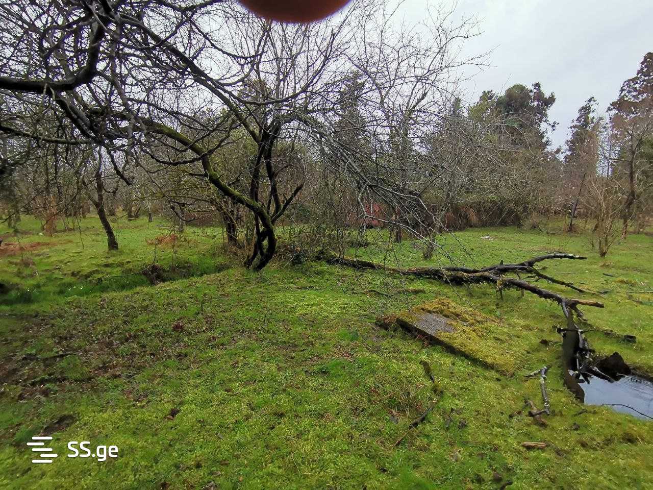 Land For Sale. Kobuleti, 2 of 4