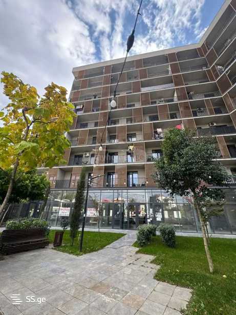 https://static.ss.ge/20260309/12_c5aa9a59-9e47-4ec7-92c3-1331c95b7184_Thumb.jpg