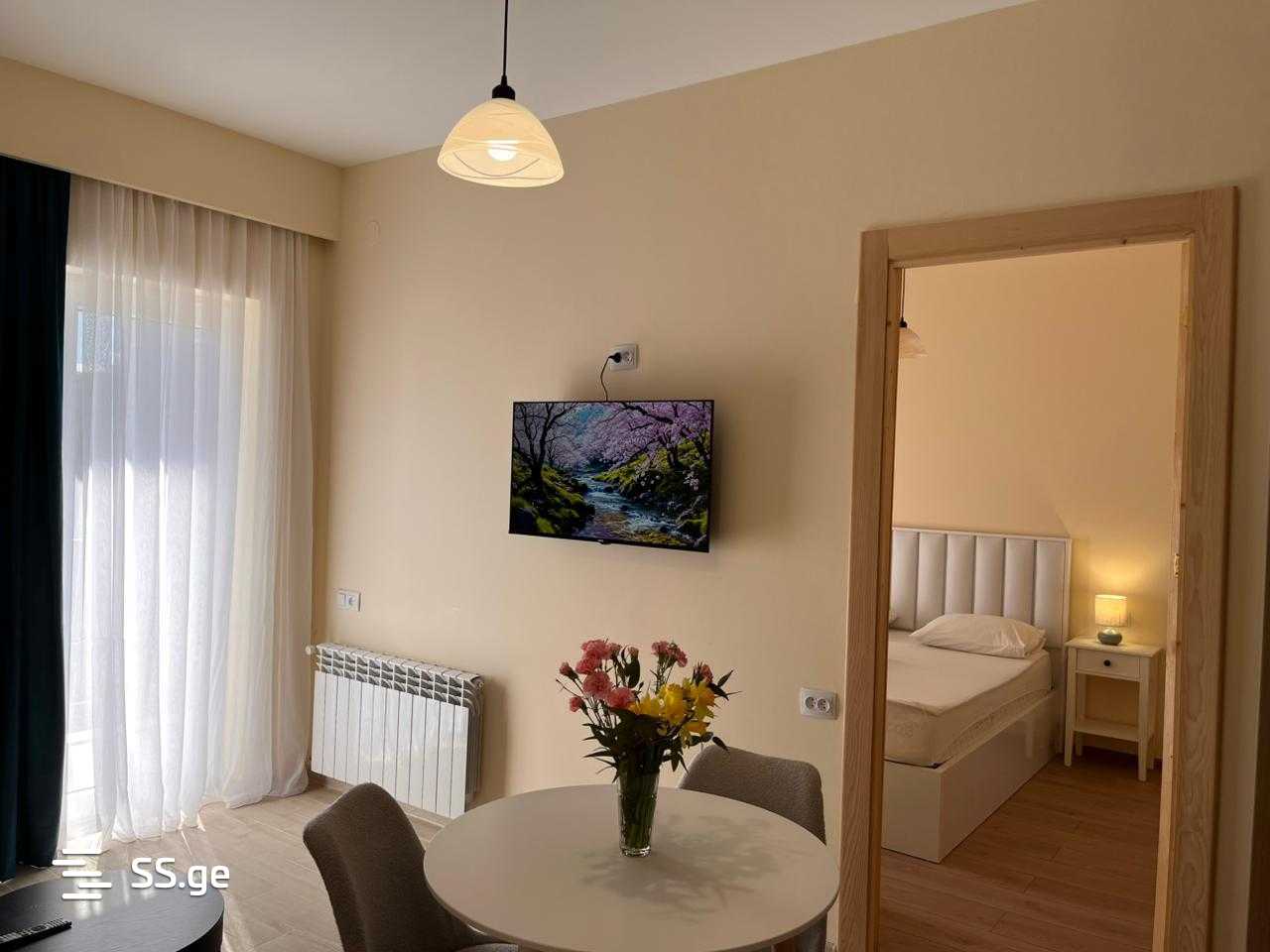 2 room Flat Daily rent. Didi digomi - Ansicht 2