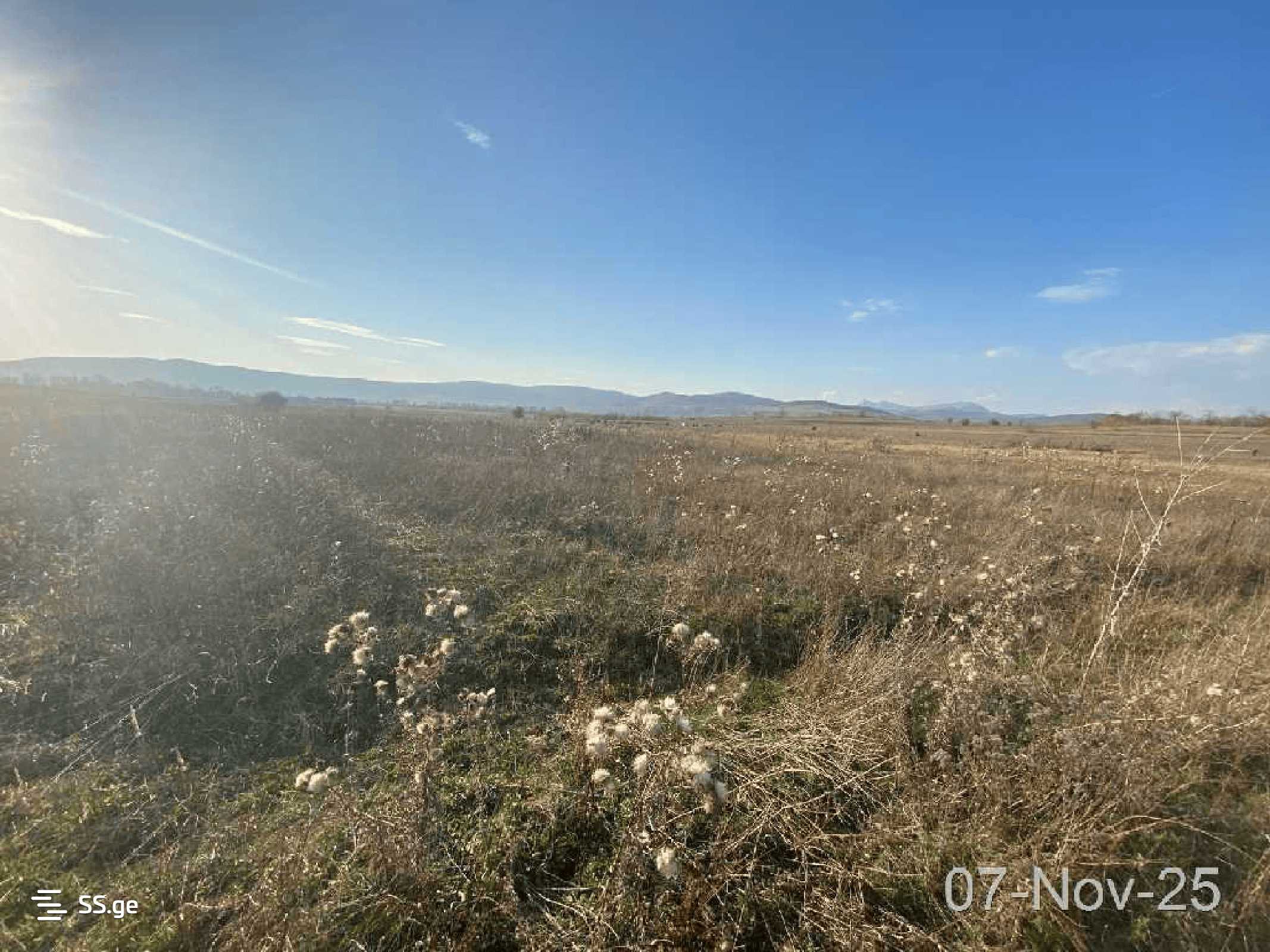 Land For Sale. Bazaleti view 5
