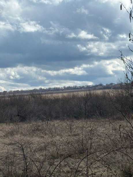 Land For Sale. Shalauri