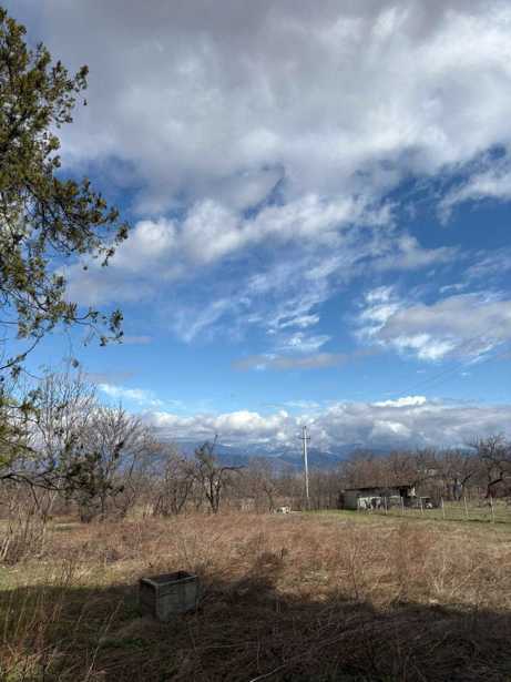 Land For Sale. Shalauri