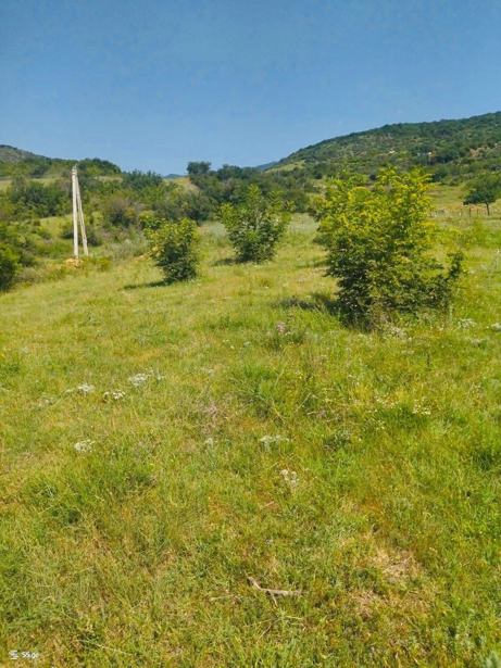 Land For Sale. Mamkoda