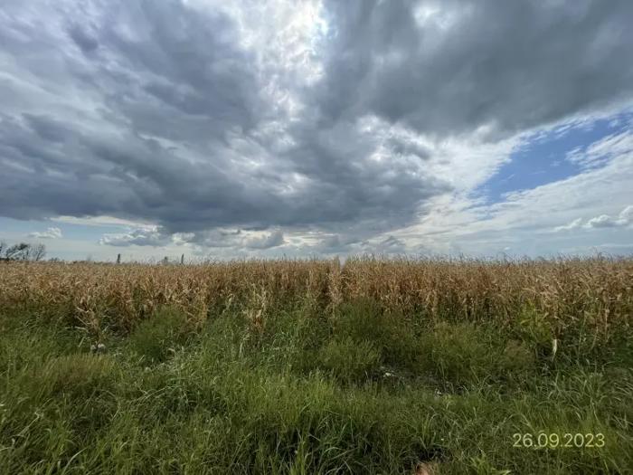 Land For Sale. Martkofi