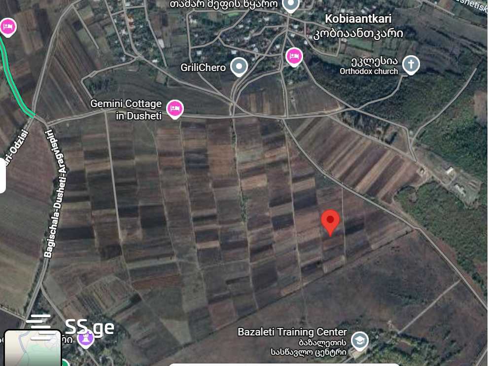 Land For Sale. Bazaleti view 2