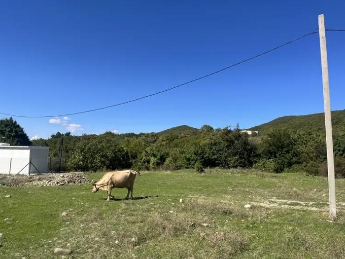 Land For Sale. Ninotsminda