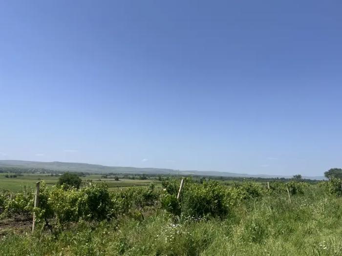 Land For Sale. Badiauri
