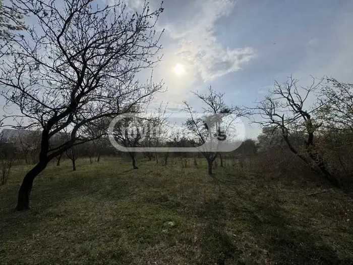 Land For Sale. Mukhrani