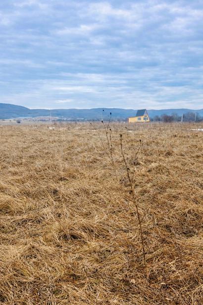 Land For Sale. Tianeti