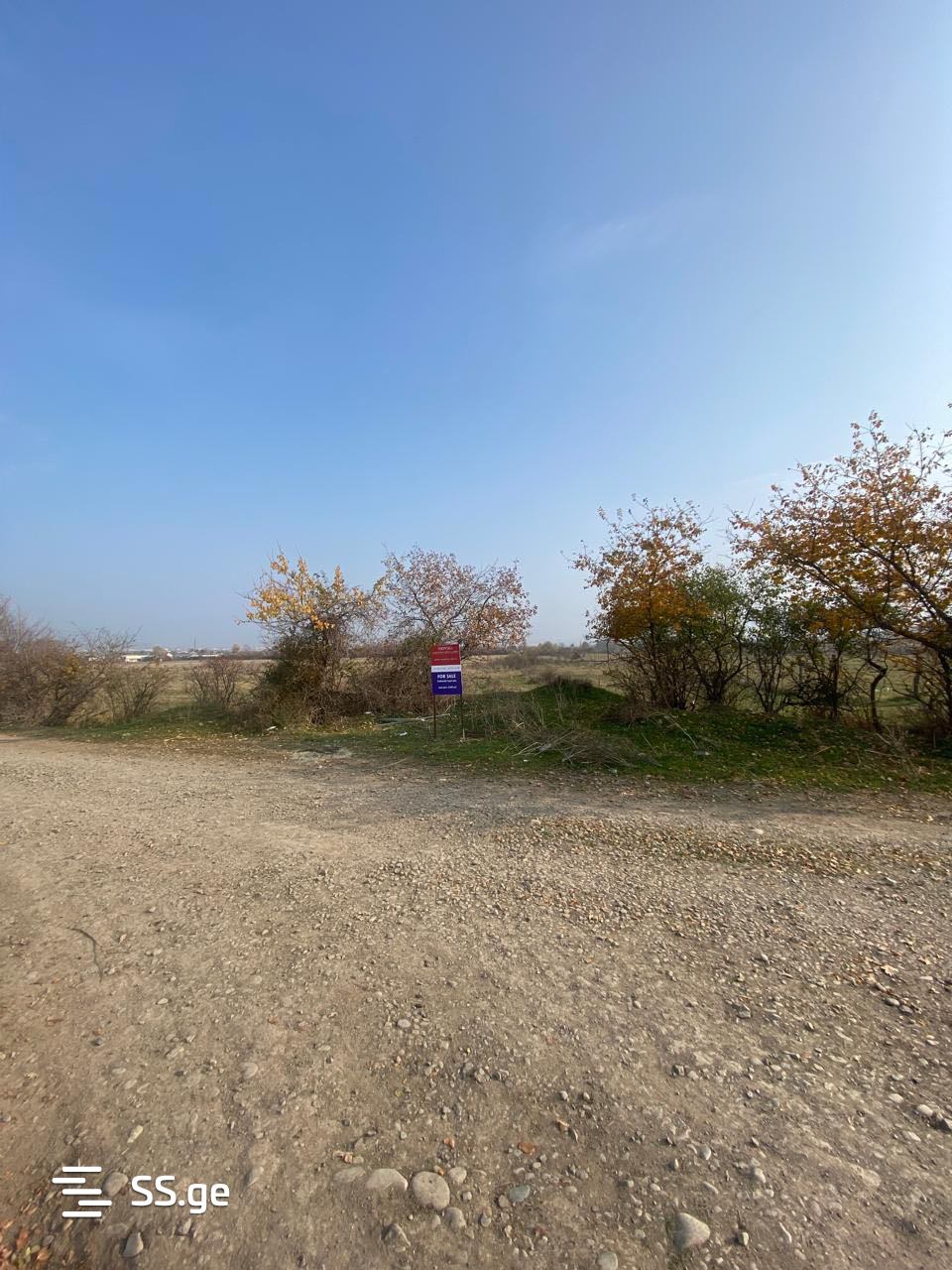 Land For Rent. Mtskheta view 3