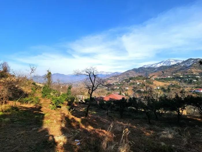 Land For Sale. Sakhalvasho